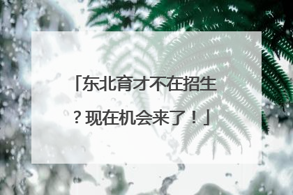 东北育才不在招生？现在机会来了！