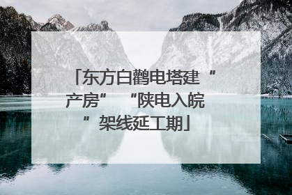 东方白鹳电塔建“产房” “陕电入皖”架线延工期