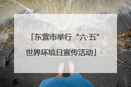 东营市举行“六·五”世界环境日宣传活动