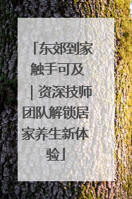 东郊到家 触手可及｜资深技师团队解锁居家养生新体验