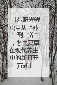 东阳光鲜虫草从“补”到“养”，冬虫夏草在现代养生中的新打开方式
