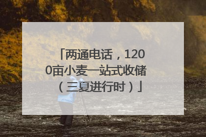 两通电话，1200亩小麦一站式收储（三夏进行时）