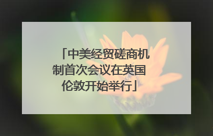 中美经贸磋商机制首次会议在英国伦敦开始举行