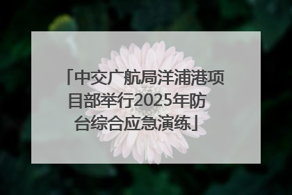 中交广航局洋浦港项目部举行2025年防台综合应急演练