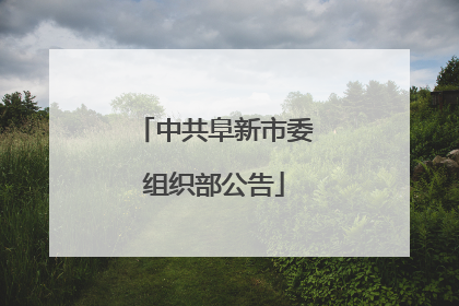 中共阜新市委组织部公告