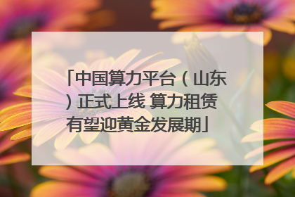 中国算力平台（山东）正式上线 算力租赁有望迎黄金发展期