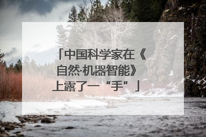 中国科学家在《自然·机器智能》上露了一“手”