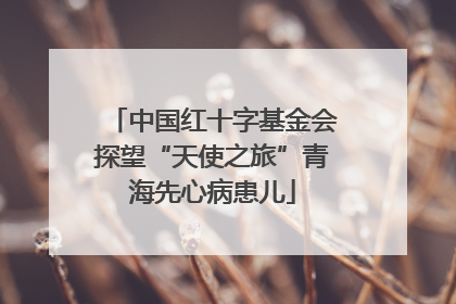 中国红十字基金会探望“天使之旅”青海先心病患儿