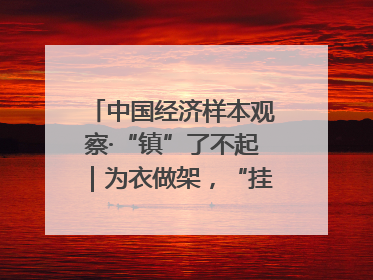 中国经济样本观察·“镇”了不起｜为衣做架，“挂”出来的80亿元“衣架产业”