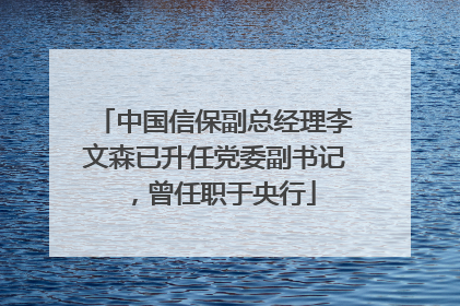 中国信保副总经理李文森已升任党委副书记，曾任职于央行