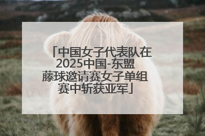 中国女子代表队在2025中国-东盟藤球邀请赛女子单组赛中斩获亚军