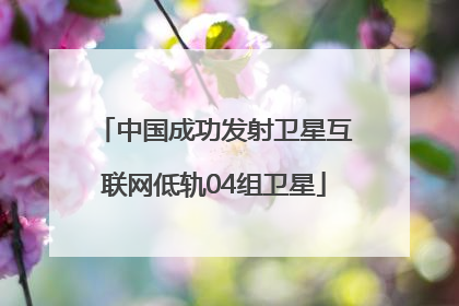 中国成功发射卫星互联网低轨04组卫星