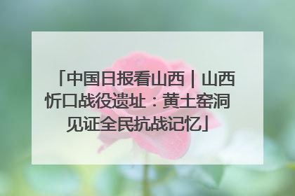 中国日报看山西｜山西忻口战役遗址：黄土窑洞见证全民抗战记忆
