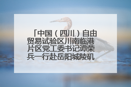 中国（四川）自由贸易试验区川南临港片区党工委书记谭荣兵一行赴岳阳城陵矶综保区考察