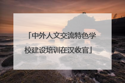 中外人文交流特色学校建设培训在汉收官