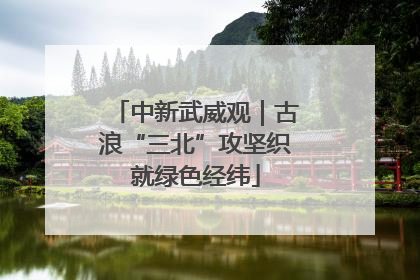 中新武威观｜古浪“三北”攻坚织就绿色经纬