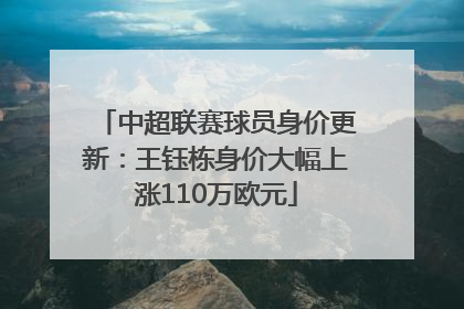 中超联赛球员身价更新：王钰栋身价大幅上涨110万欧元