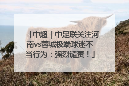 中超｜中足联关注河南vs蓉城极端球迷不当行为：强烈谴责！