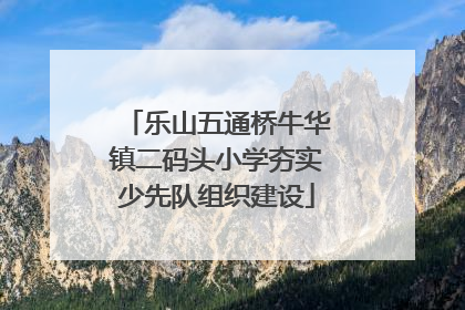 乐山五通桥牛华镇二码头小学夯实少先队组织建设
