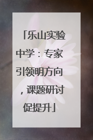 乐山实验中学：专家引领明方向，课题研讨促提升