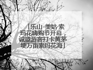 乐山-美姑·索玛花嗨购节开幕，诚邀游客打卡黄茅埂万亩索玛花海