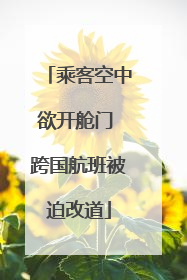 乘客空中欲开舱门 跨国航班被迫改道