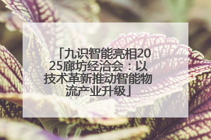 九识智能亮相2025廊坊经洽会：以技术革新推动智能物流产业升级