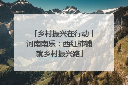 乡村振兴在行动丨河南南乐：西红柿铺就乡村振兴路