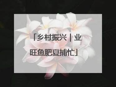 乡村振兴｜业旺鱼肥夏捕忙