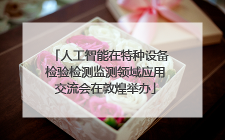 人工智能在特种设备检验检测监测领域应用交流会在敦煌举办