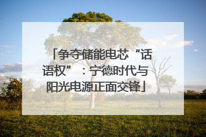 争夺储能电芯“话语权”：宁德时代与阳光电源正面交锋