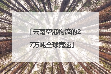 云南空港物流的27万吨全球竞速