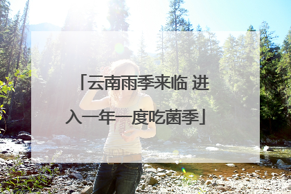 云南雨季来临 进入一年一度吃菌季