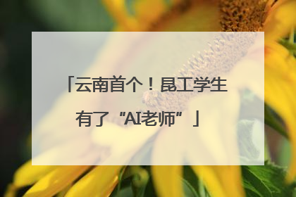 云南首个！昆工学生有了“AI老师”
