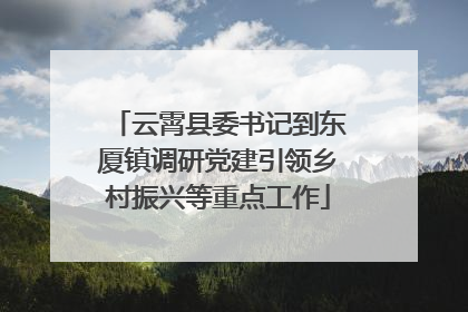 云霄县委书记到东厦镇调研党建引领乡村振兴等重点工作