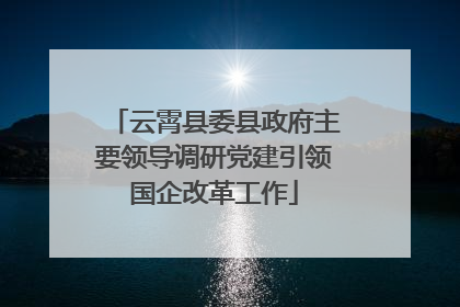 云霄县委县政府主要领导调研党建引领国企改革工作