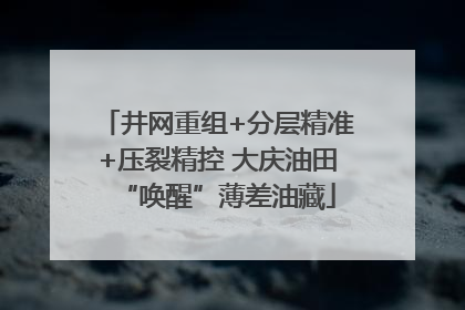 井网重组+分层精准+压裂精控 大庆油田“唤醒”薄差油藏