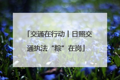 交通在行动丨日照交通执法“粽”在岗