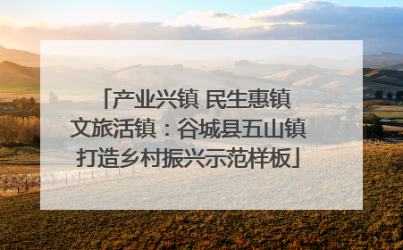 产业兴镇 民生惠镇 文旅活镇：谷城县五山镇打造乡村振兴示范样板