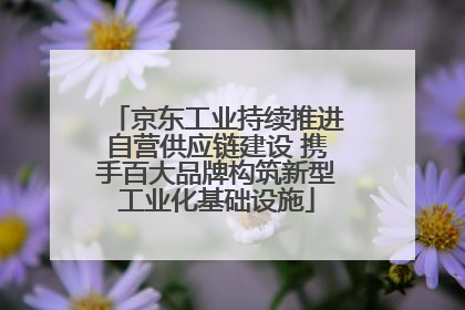 京东工业持续推进自营供应链建设 携手百大品牌构筑新型工业化基础设施