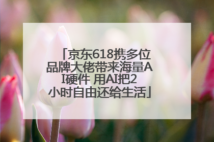 京东618携多位品牌大佬带来海量AI硬件 用AI把2小时自由还给生活