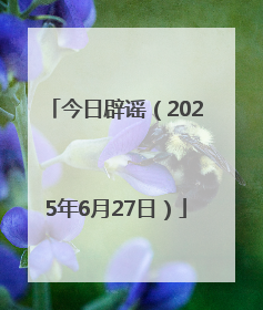 今日辟谣（2025年6月27日）