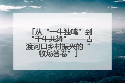 从“一牛独鸣”到“千牛共舞”——古渡河口乡村振兴的“牧场答卷”