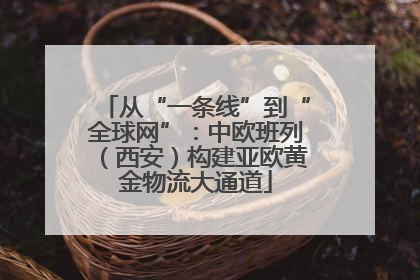 从“一条线”到“全球网”：中欧班列（西安）构建亚欧黄金物流大通道