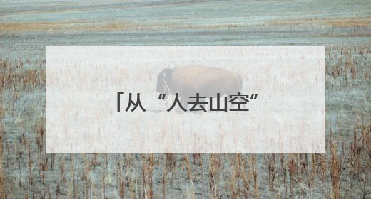 从“人去山空”到“客满山谷”，黑麋峰“新村民”唤醒沉睡山谷