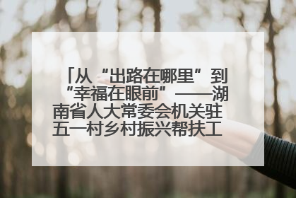 从“出路在哪里”到“幸福在眼前”——湖南省人大常委会机关驻五一村乡村振兴帮扶工作队书写振兴答卷