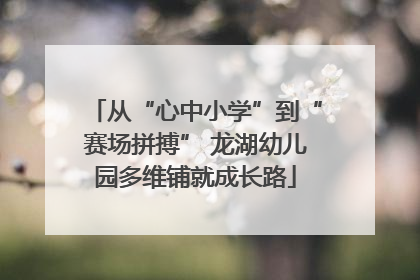 从“心中小学”到“赛场拼搏” 龙湖幼儿园多维铺就成长路