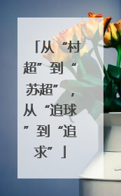 从“村超”到“苏超”，从“追球”到“追求”
