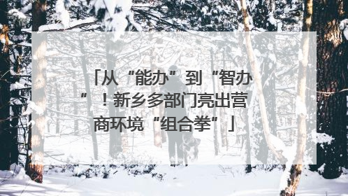 从“能办”到“智办”！新乡多部门亮出营商环境“组合拳”