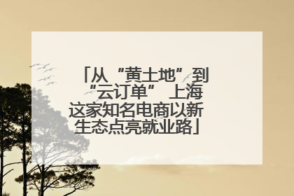 从“黄土地”到“云订单” 上海这家知名电商以新生态点亮就业路